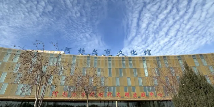 阿拉爾市文化館