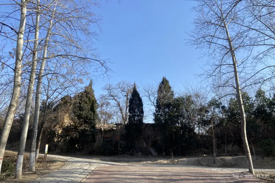 Yuncheng Bureau of Parks and Woods Botanical Garden