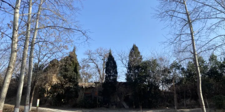 運城市園林局植物園