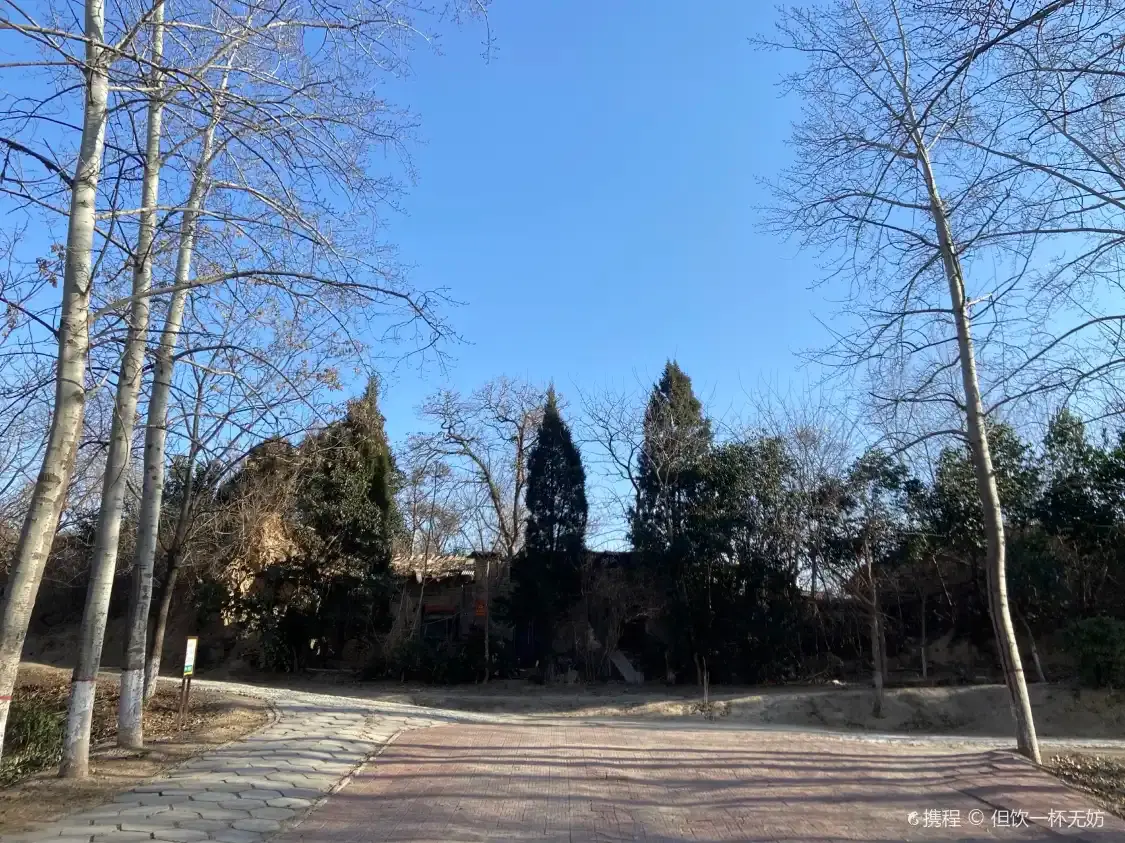 Yuncheng Bureau of Parks and Woods Botanical Garden 주변 호텔