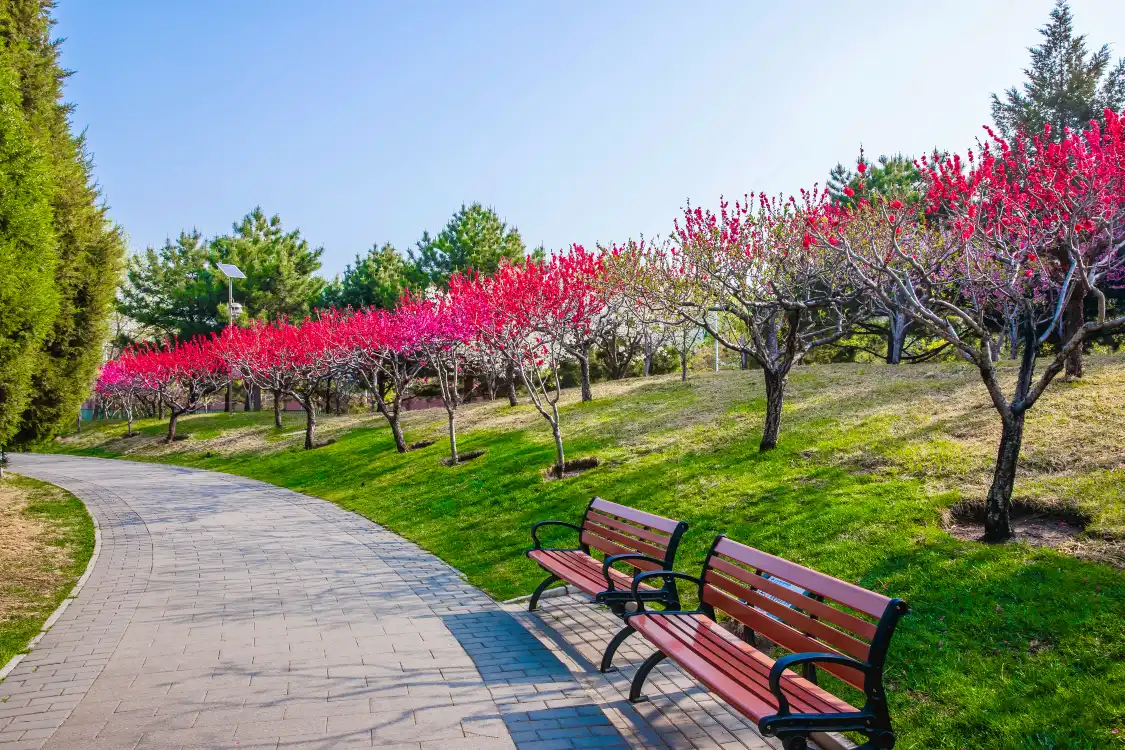 Hotels near Huangshanhu Park