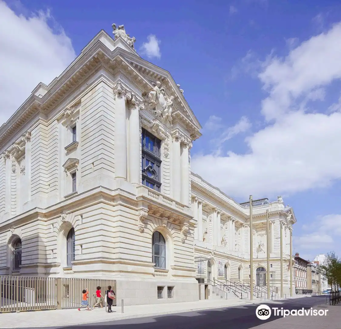 Hotels near Musee des Beaux-Arts