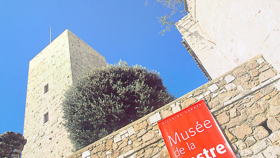 Museum of the Castre