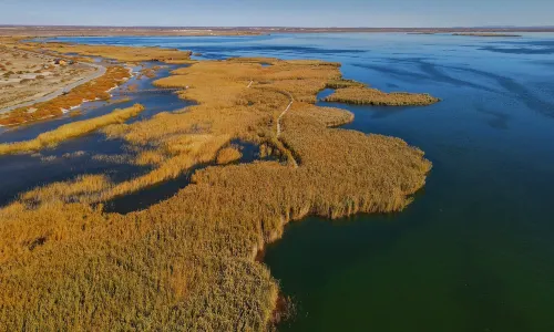 居延海