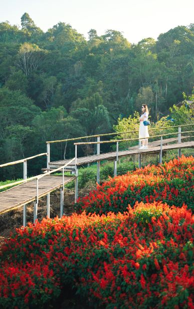Compare 5 airports near Mae Rim