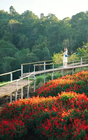 โรงแรมใกล้ม่อนแจ่ม