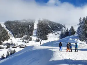 Collet ski resort Allevard