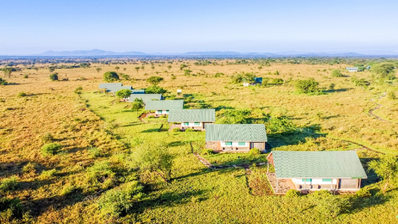 Serengeti