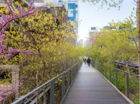 The High Line