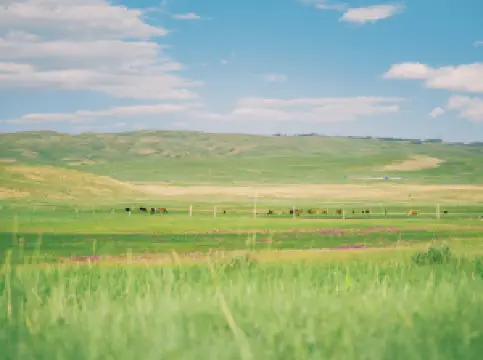 Popular Spring Outings in Hami