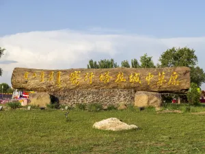 ทุ่งหญ้าไซ่ฮั่นถ่าลา