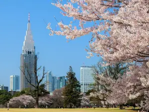 Shinjuku Gyoen Park