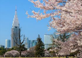 Hotels near Tokyo Skytree Station