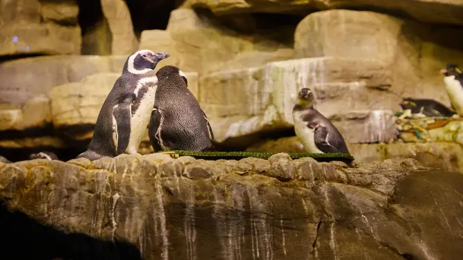2_謝德水族館