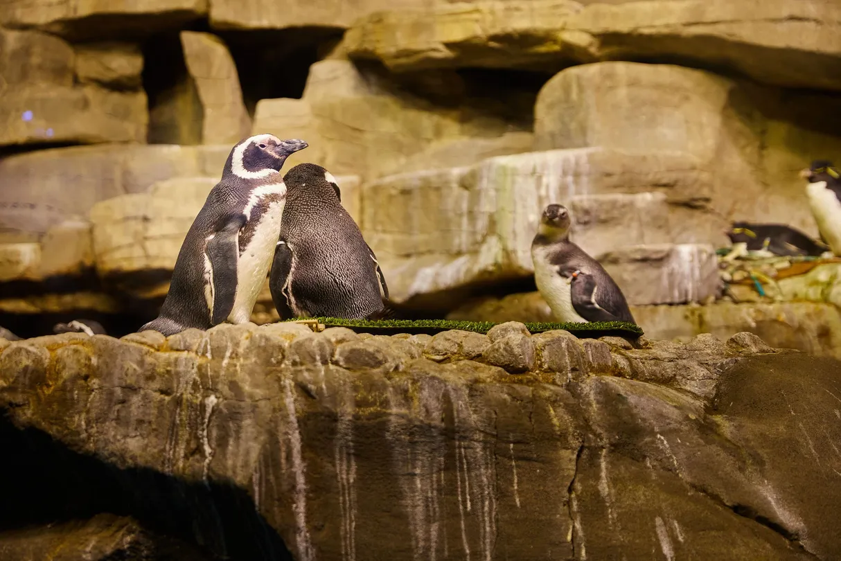 2_謝德水族館