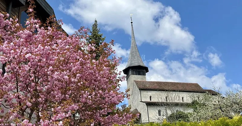Fioriture Primaverili