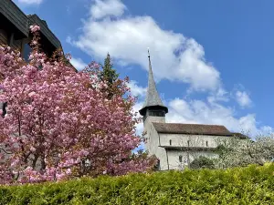 Top 5 Spring Outings in Canton of Berne
