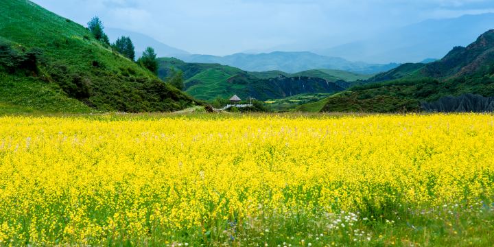 墨石公園景区