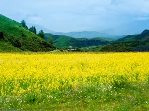 Moshi Park Scenic Area
