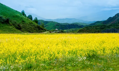 墨石公園景區