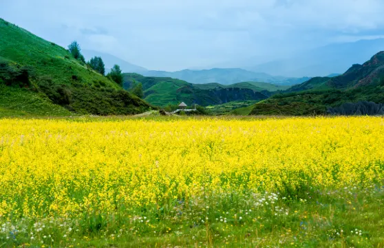 墨石公園景區門票 + 來回觀光車票成人
