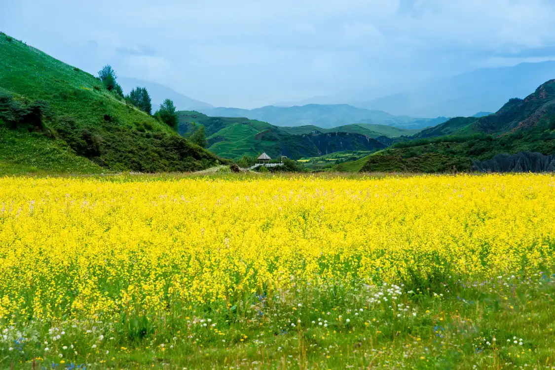 Hotels near Moshi Park Scenic Area