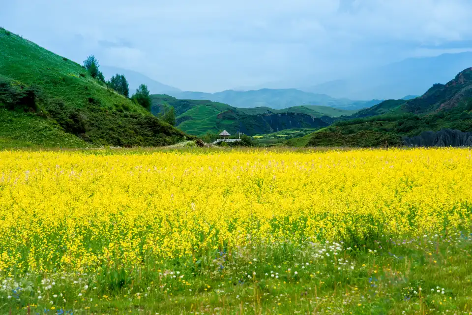 2_Moshi Park Scenic Area