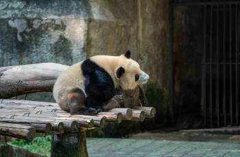 重慶50大親子景點