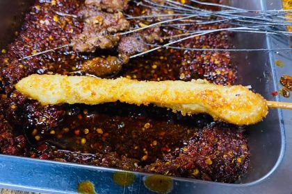 SI SHI ER ZHONG XIAO ROU CHUAN