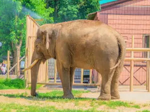 基輔動物園