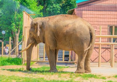 Kiev Zoo