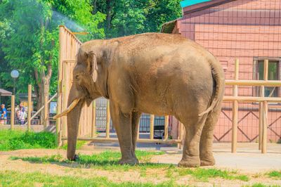 Kiev Zoo