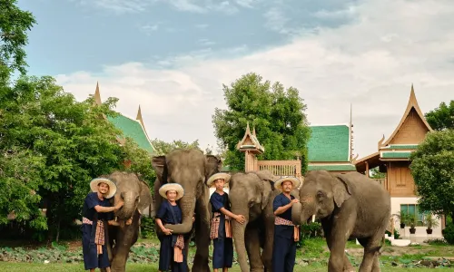 Bangkok Elephant Park