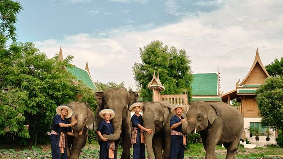 Bangkok Elephant Park