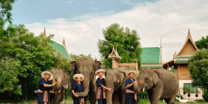 曼谷大象營