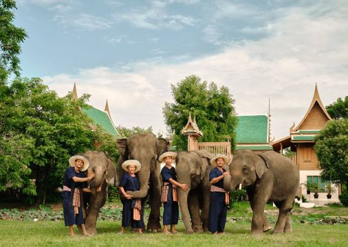 Bangkok Elephant Park