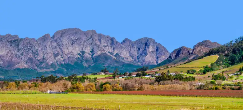 Hotels near Hiking - Perdekop Hiking Trail - Mont Rochelle Nature Reserve