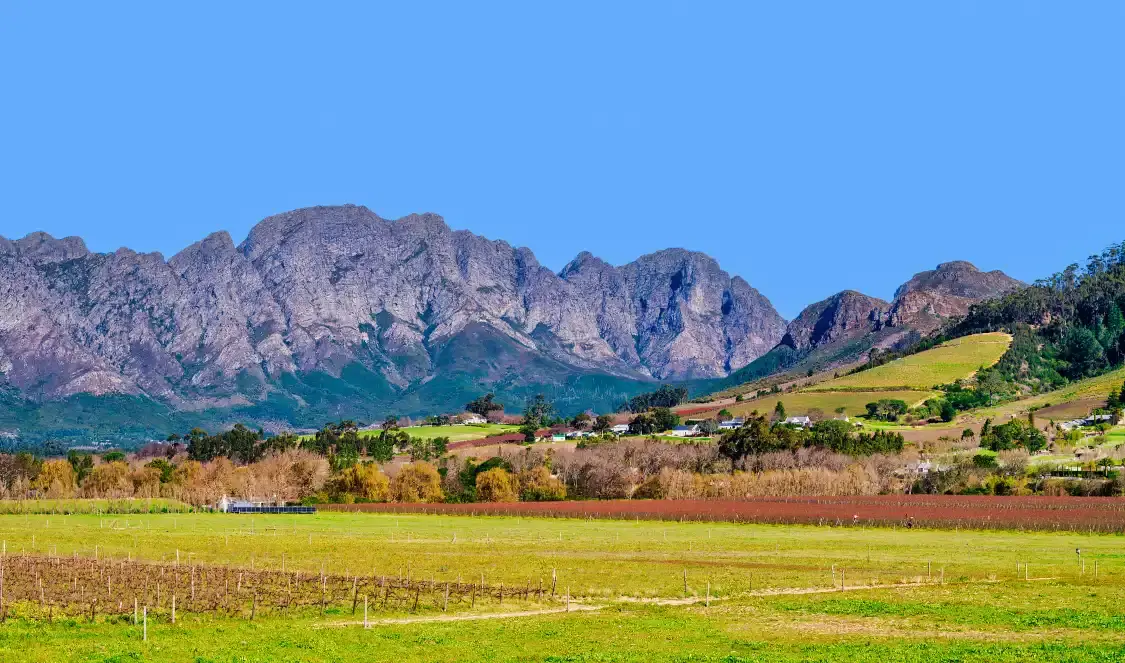 Hotels near Franschhoek