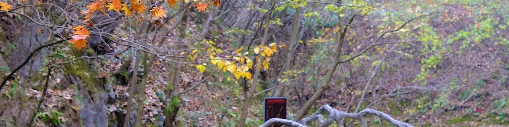 Attrazioni per la visione autunnale