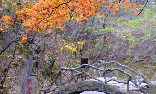 Jinsi Valley