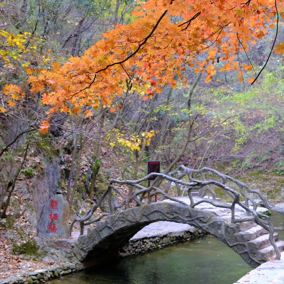 3_Jinsi Valley