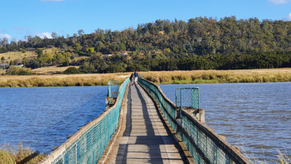 Tamar Island Wetlands Centre