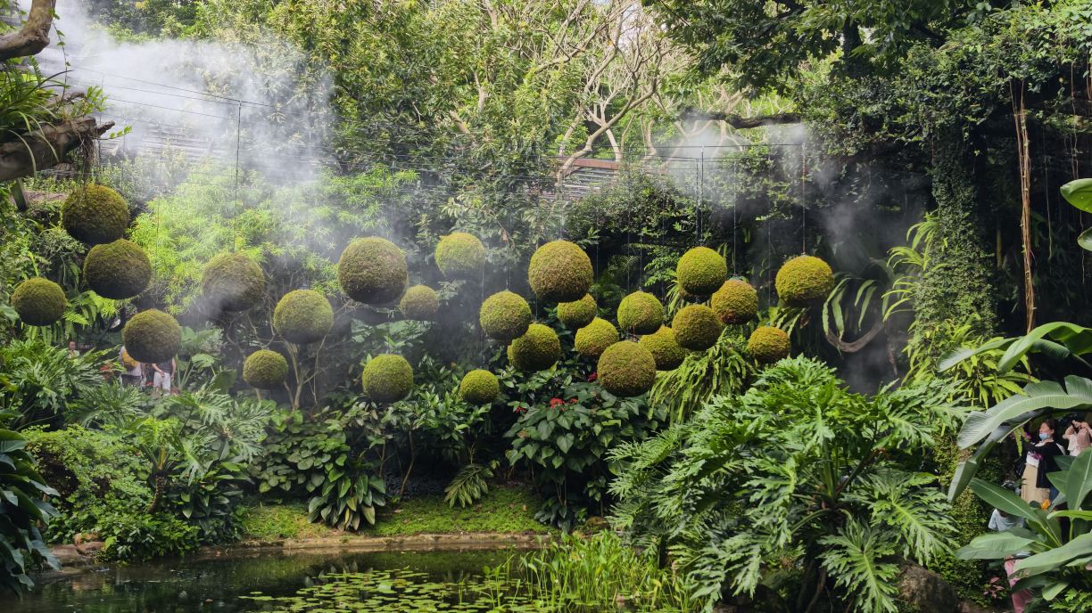 荫生植物园景点图片