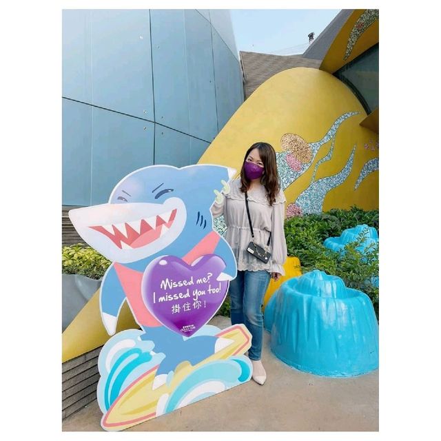 海洋公園～光影都會