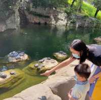 【 充滿兒時回憶的公園 】香港公園