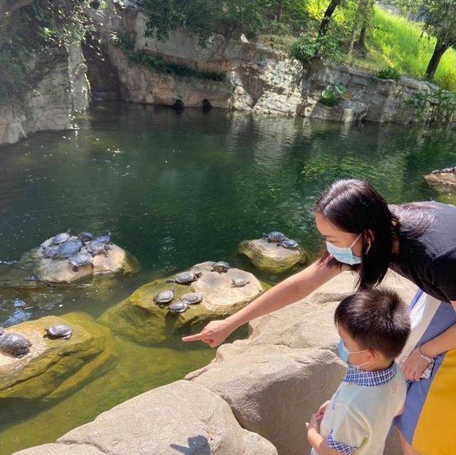 【 充滿兒時回憶的公園 】香港公園