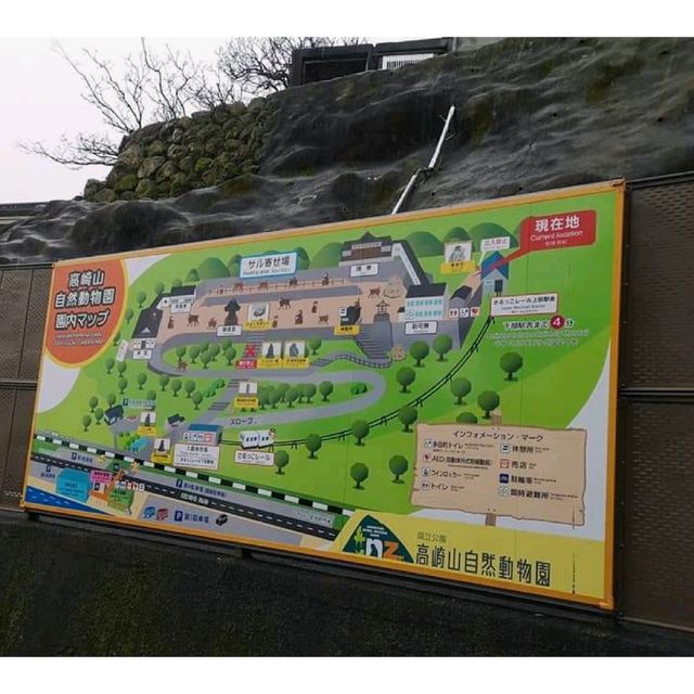 九洲大分睇馬騮