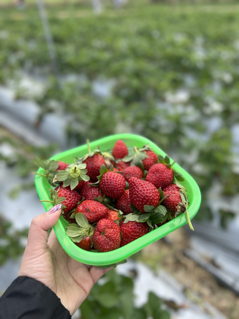 香港樂高探索中心用戶評價