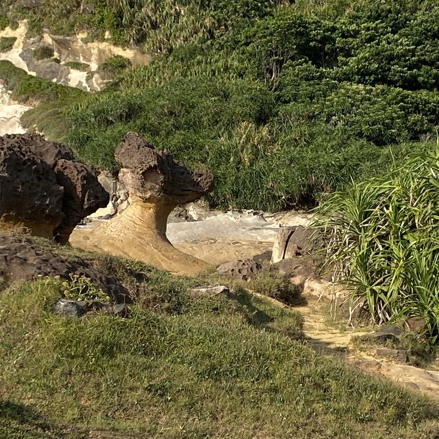 Yehliu Geopark 