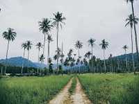 ไปค่ะ ....ไปพัก Escape Life Koh Kood 